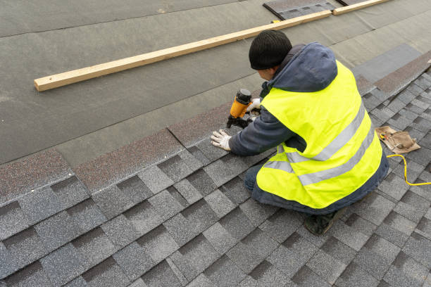 Best Roof Gutter Cleaning  in Grosse Pointe, MI