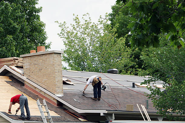 Best Roof Maintenance Services  in Grosse Pointe, MI
